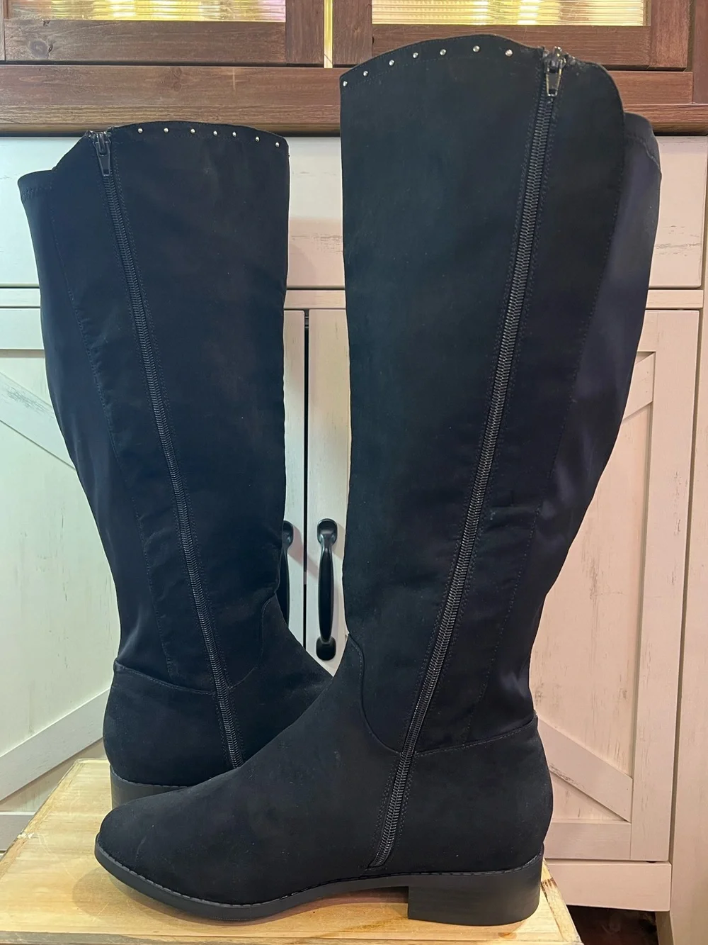 Lane Bryant lane bryant